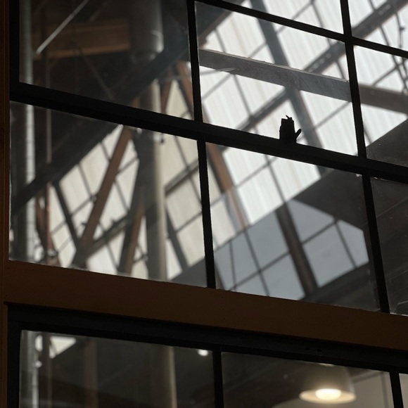 Meet your Posher, Ri - Picture 3 of 8